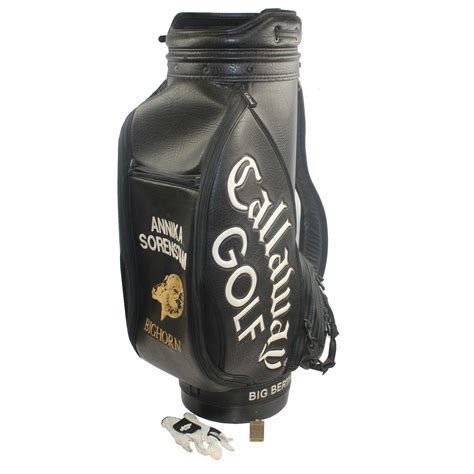 Annika sorenstam went more than 12 years without playing on the lpga tour. Lot Detail - Annika Sorenstam 1997 Tour Golf Bag with Her ...