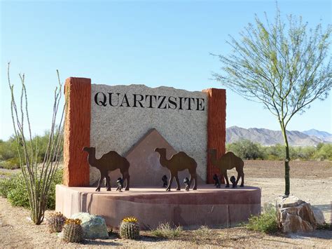 Camels' humps consist of stored fat, which they can metabolize when food and water is scarce. Land Cruising Adventure: Camels in the Arizona Desert?