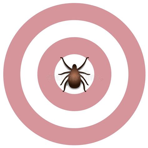Lyme Disease Tick Bulls Eye Rash Stock Vector Illustration Of