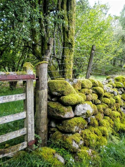 Boundaries Fences And Walls Image By Becky Cagwin Garden Landscape