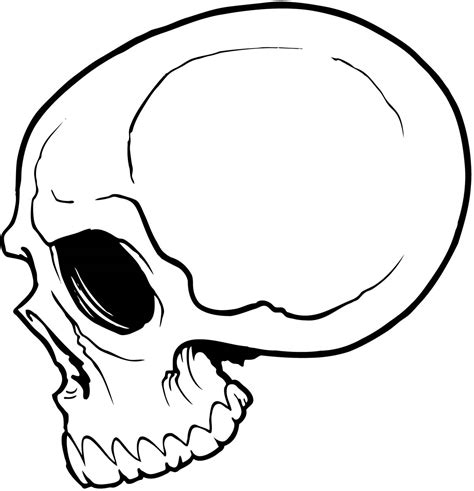 Skull Side Profile Tattoo