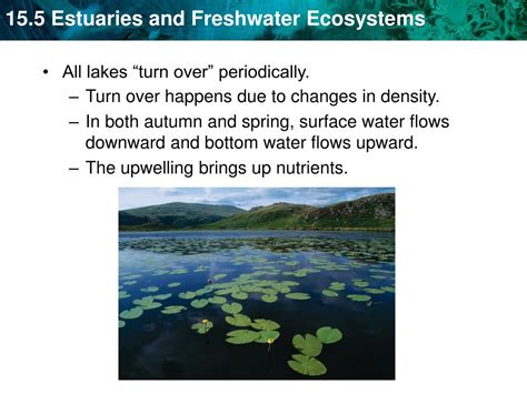 Ppt Key Concept Freshwater Ecosystems Include Estuaries As Well As