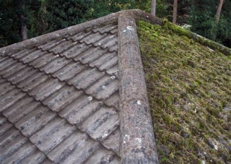 Could glued to the underside a foam underlay, even laminate flooring how expensive is too expensive ? Free Roof Cleaning and Moss Removal Photos You Can Use