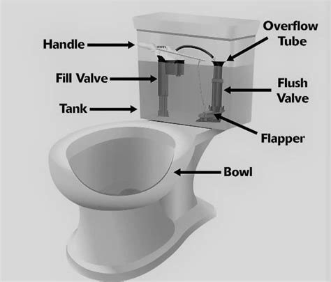 Toilet Tank Parts Plumbing Diagram Pictures Repairs Toilet Haven