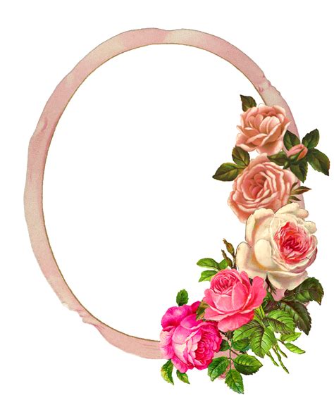 Free Pink Rose Digital Flower Frame Download Project Idea Flower