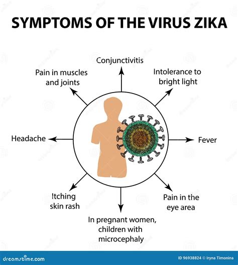 Symptome Des Virus Zika Infographics Vektorillustration Auf Lokalisiertem Hintergrund Vektor