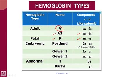Hematology 1 U4 L9 Hemoglobin Types Youtube