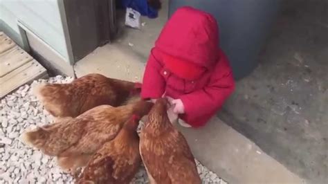 Babies Seeing Chickens For First Time Youtube Youtube