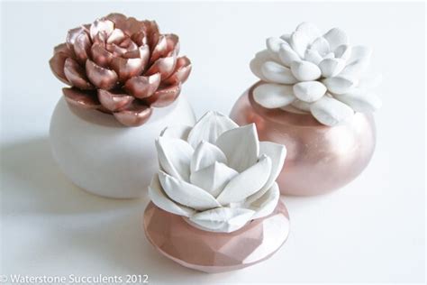 Rose Gold Set Of 3 Succulents In Round By Waterstonesucculents