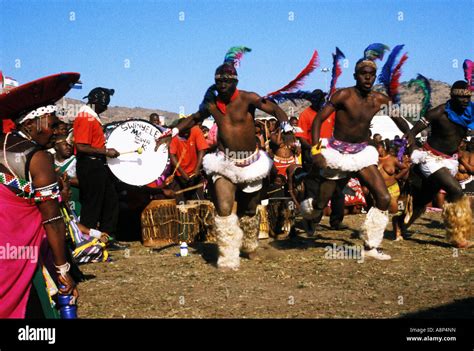 Zulu Reed Dance Ceremony Natal Stockfotos Und Bilder Kaufen Alamy