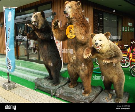 Japan Hokkaido Onuma Quasi National Park Stuffed Bears Stock Photo
