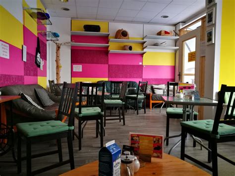 See 599,997 tripadvisor traveller reviews of 8,642 berlin restaurants and search by cuisine, price, location, and more. Cat Cafe 'Zur Mieze' - Cat cafe in Berlin Charlottenburg ...