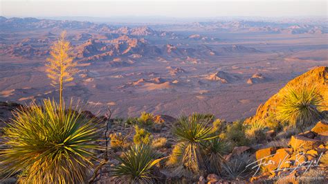 Desert Wildlands Kofa Mtns Az Art In Nature Photography