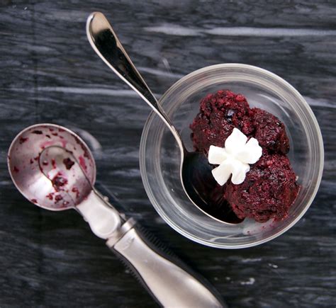 Especially if you are adding other ingredients to your latte, . Blueberry Sorbet | Blueberry sorbet, Dessert bullet ...