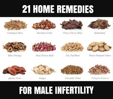 21 Home Remedies For Male Infertility Fertility Foods Male Infertility Remedies Male Infertility
