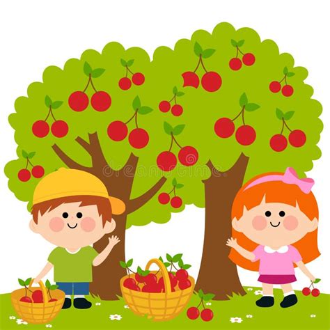 Children Picking Cherries Under A Cherry Tree Vector Illustration