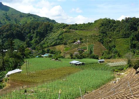 Cameron highlands was discovered in 1885 by english surveyor william cameron, under a commission by the colonial government. Explore the Cameron Highlands, Malaysia | Audley Travel