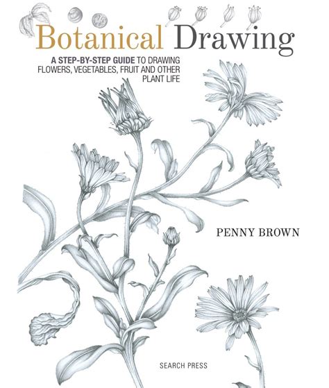 Botanical Drawing A Step By Step Guide To Drawing Flowers Vegetables