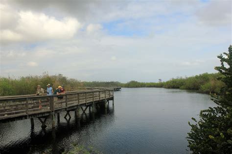 Boardwalk On Nature Trail At Everglades National Park Florida Image