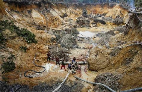 Venezuela Preocupación Por Incremento De Minería Ilegal En La Amazonía