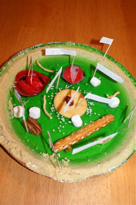 What are the mechanisms that ensure a single common target size in fission yeast s. 5 edible plant cell project ideas : Biological Science ...