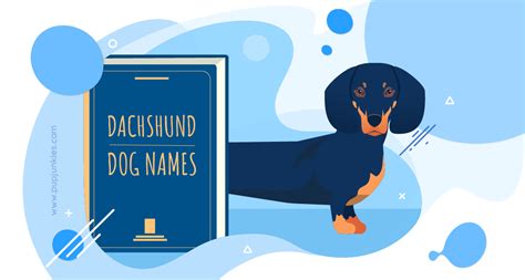 100 Most Popular Dachshund Dog Names Of 2021