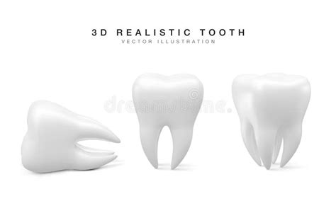 Set Of White Tooth In Different Position Isolated On White Background