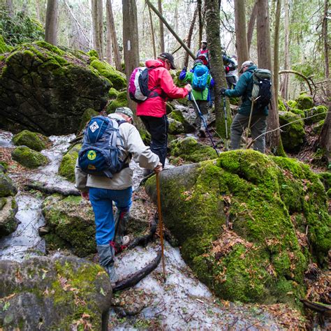 Find over 26 trail hiking groups with 15726 members near you and meet people in your local community who share your interests. Hikes - Caledon Hills Bruce Trail Club