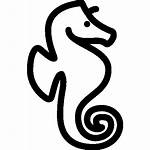 Icon Seahorse Sea Horse Icons Animals Icons8