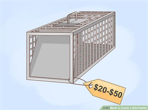 A rabbit can be an adorable, beloved pet, but because rabbits exist as prey animals in the wild they can often be frightened and mistrustful of humans.1 x research source learning how to read your your rabbit may be resistant to your affection because he does not yet feel safe in your home. 3 Ways to Catch a Wild Rabbit - wikiHow