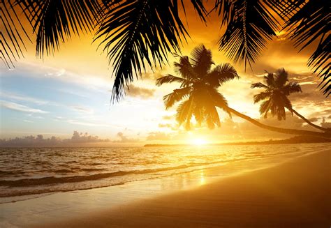 Tropical Beach Sunset Wallpapers Wallpaper Cave