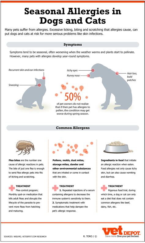How To Treat My Dogs Seasonal Allergies