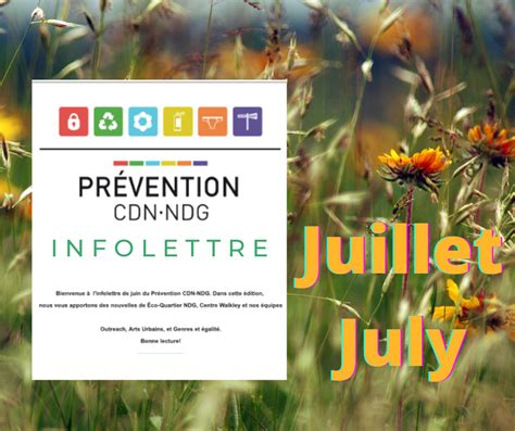 Infolettre Prévention Cdn Ndg Juillet 2021 Prevention Cdn Ndg