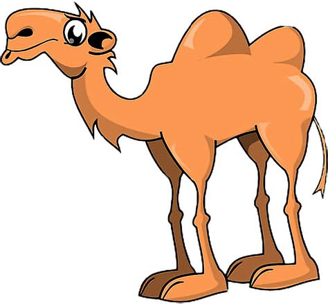 50 beautiful hump day wish pictures and images. Download Animals Camel Hump Humpday Freetoedit - Camel Two ...