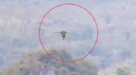 Mysterious Dragon Filmed Flying Through Chinese Mountains High