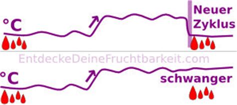16 typische erste anzeichen für eine schwangerschaft. Schwanger trotz Periode - Geht das?