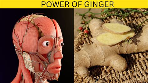 What Happens To Your Body When You Start Eating Ginger Every Day YouTube