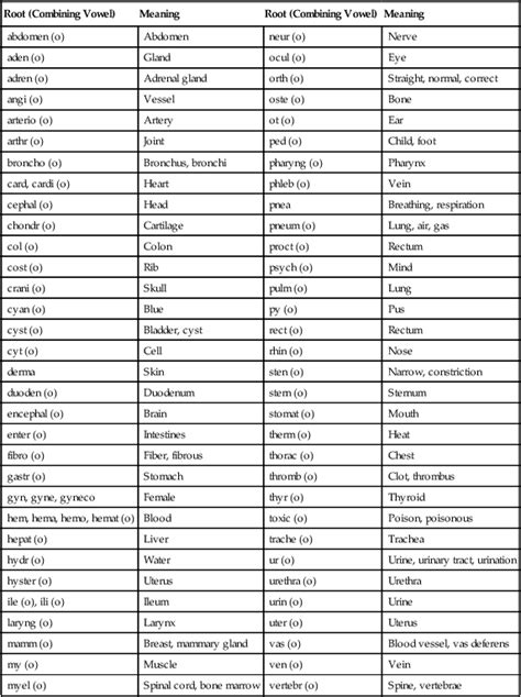 Anatomy Root Words