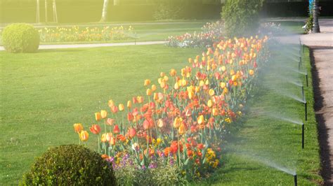 We did not find results for: Why Smart Lawn Sprinkler Systems are an Intelligent Upgrade