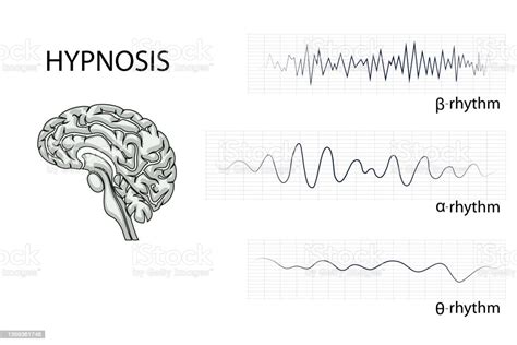 The Brain Electrical Waves Stock Illustration Download Image Now