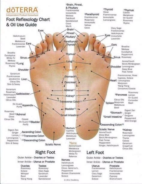 Pin On Reflexology