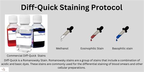 Diff Quik Staining Procedure Principle And Results