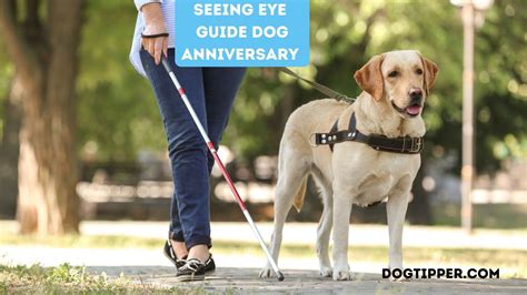 Seeing Eye Guide Dog Anniversary