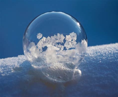 How to Photograph Frozen Bubbles in the Cold | Frozen bubbles, Bubbles photography, Creative ...