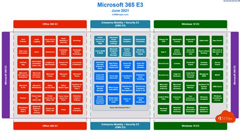 Microsoft 365 Feature Comparison In Detail