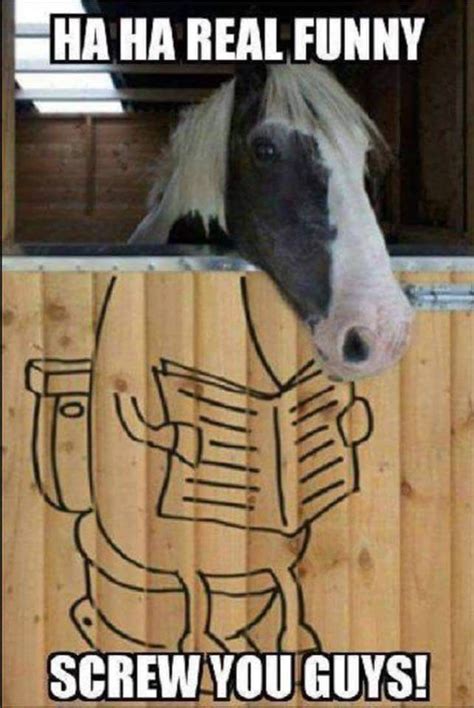 Pin By Heather Mudd On A Facespace Funny Horse Memes Funny Horse