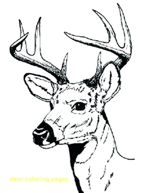Deer Hunting Coloring Pages at GetColorings.com | Free printable