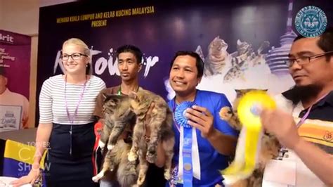 Kkm as abbreviation means kelab kucing malaysia. Malaysia Cat Club @ Kelab Kucing Malaysia/Fife/Brit | KL ...