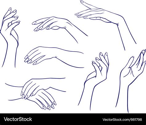 Woman Hands Collection Royalty Free Vector Image