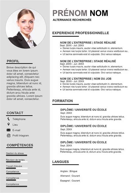 Créer Un Cv Gratuit Au Format Word Modèles De Cv Ejemplos De